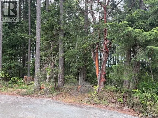 293 Adderly Rd