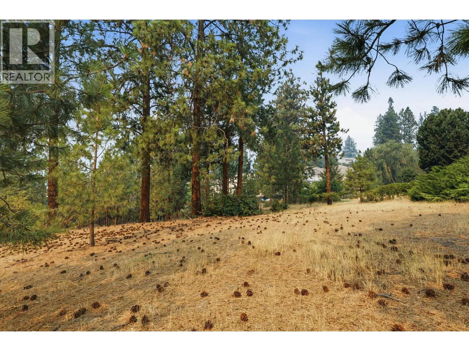 3213 Sundance Drive