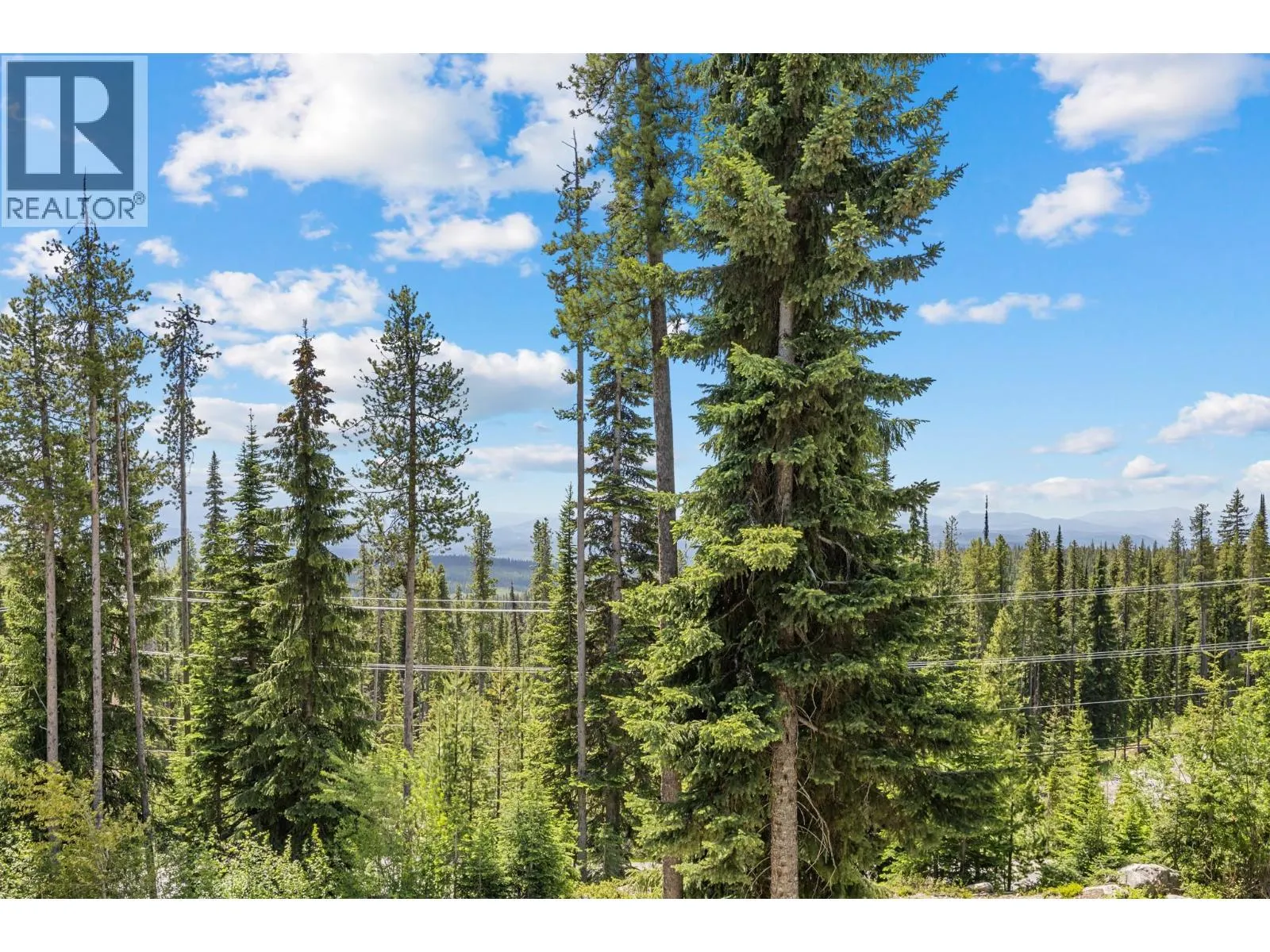 4879A Snowpines Road
