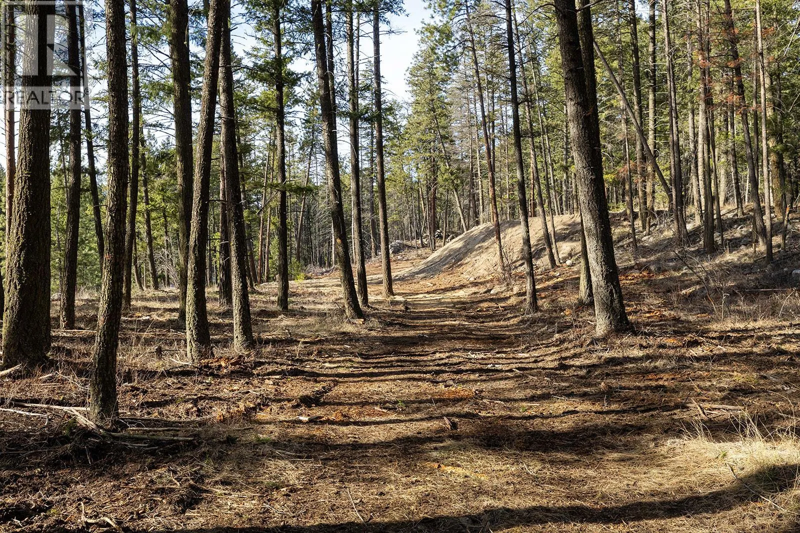 Lot A & B Trepanier Road
