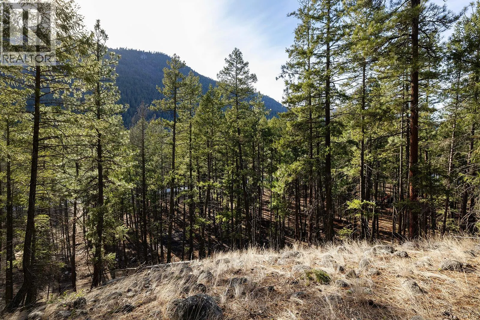 Lot A & B Trepanier Road