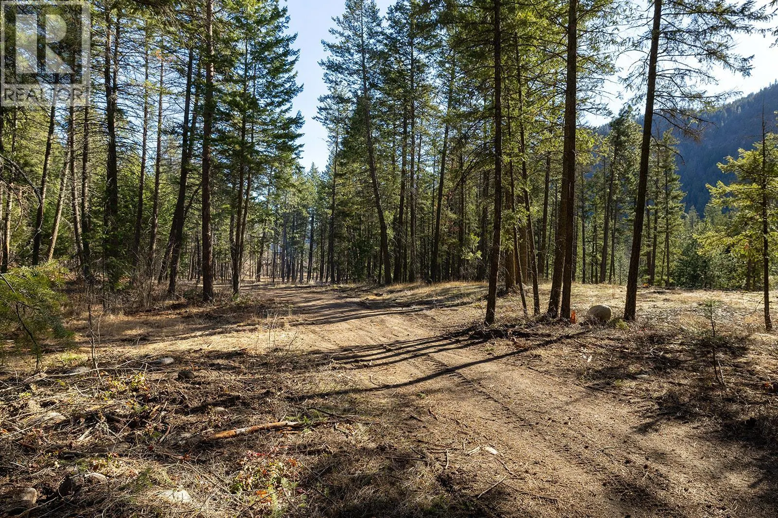 Lot A & B Trepanier Road