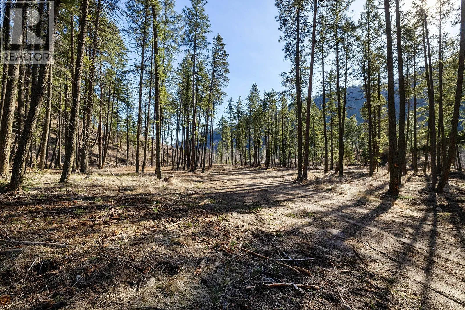 Lot A & B Trepanier Road