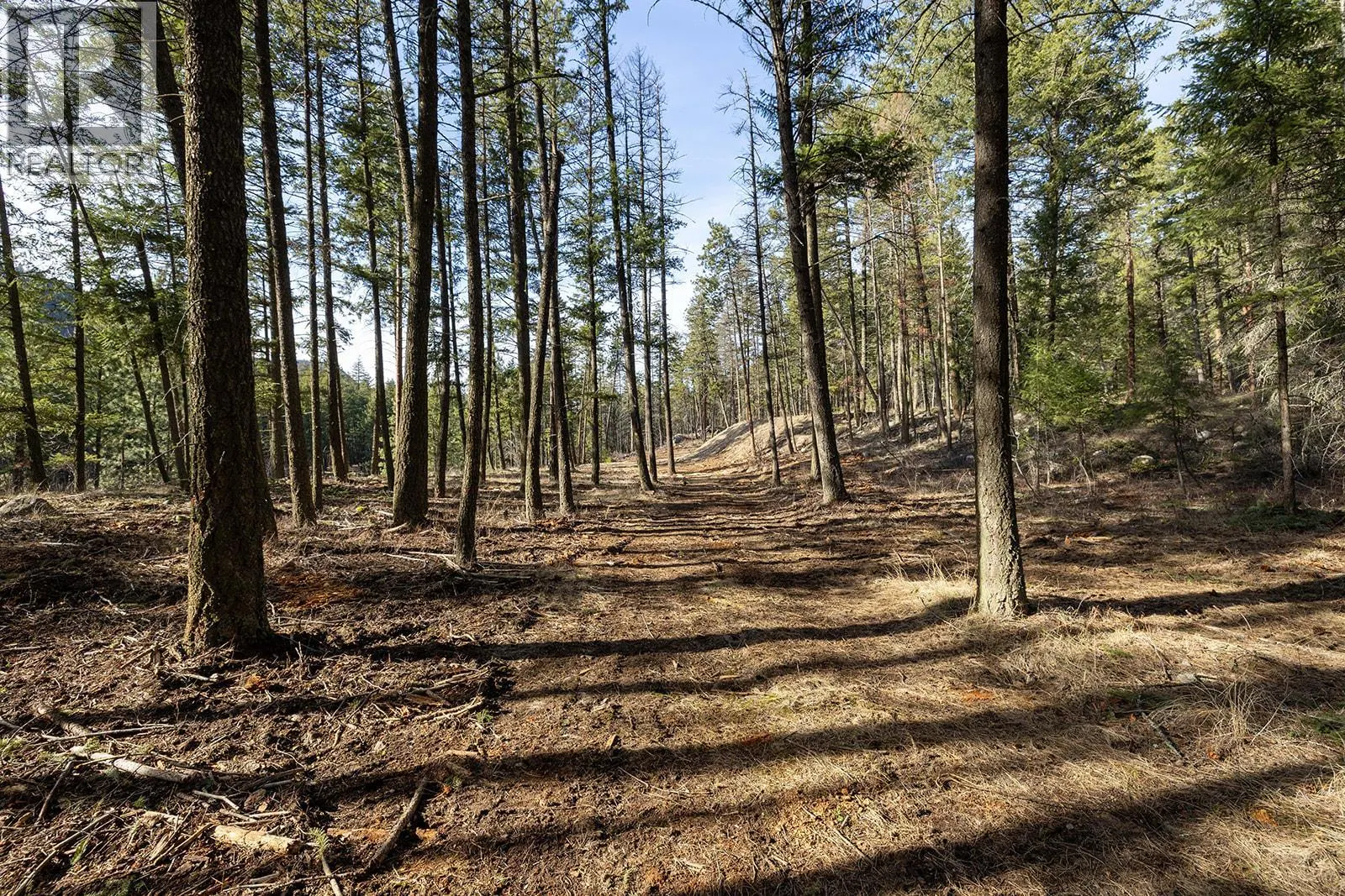 Lot A & B Trepanier Road