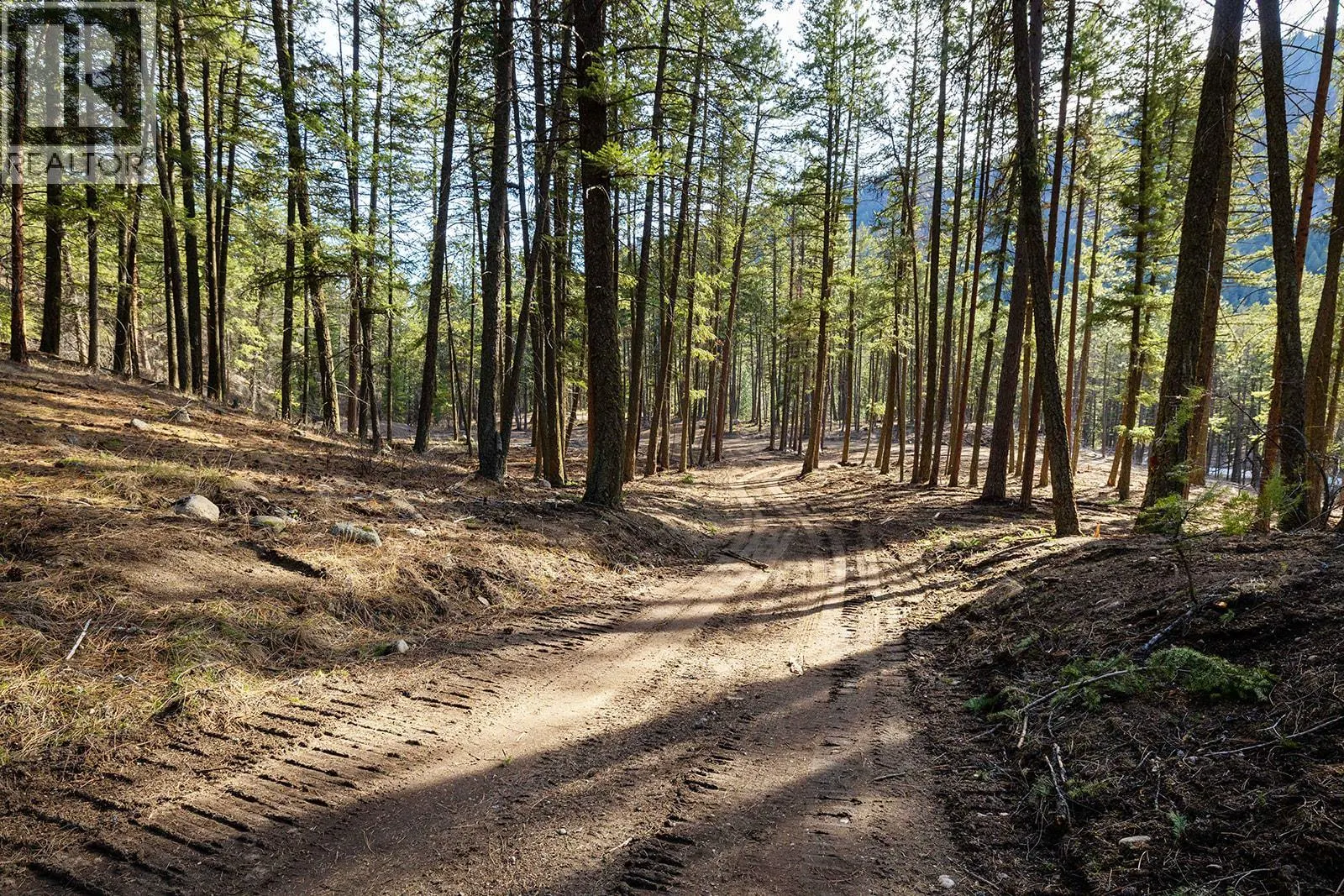 Lot A & B Trepanier Road