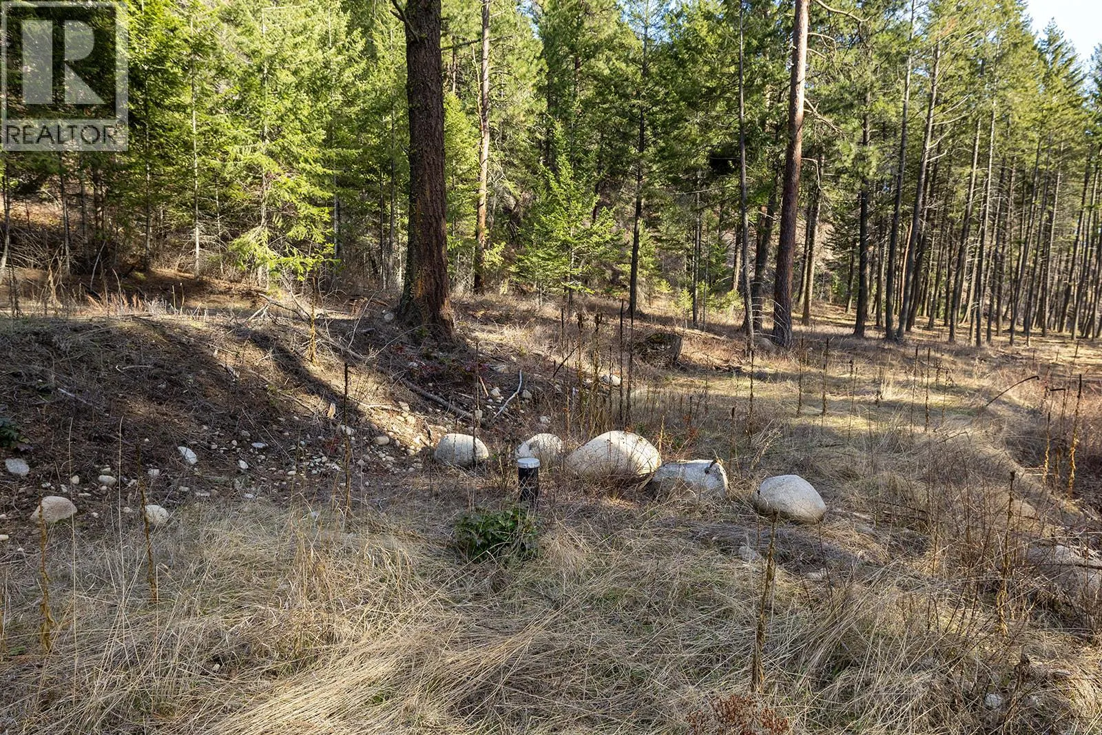 Lot A & B Trepanier Road