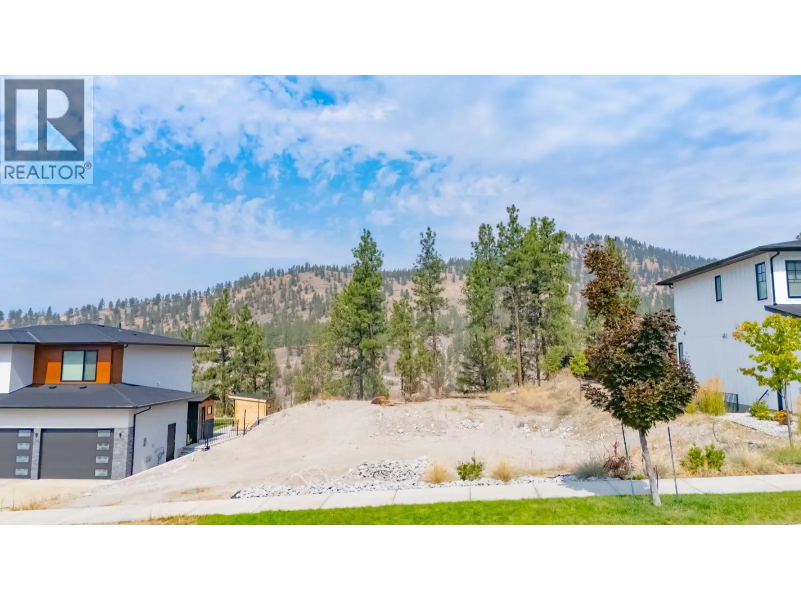 1029 ANTLER Drive