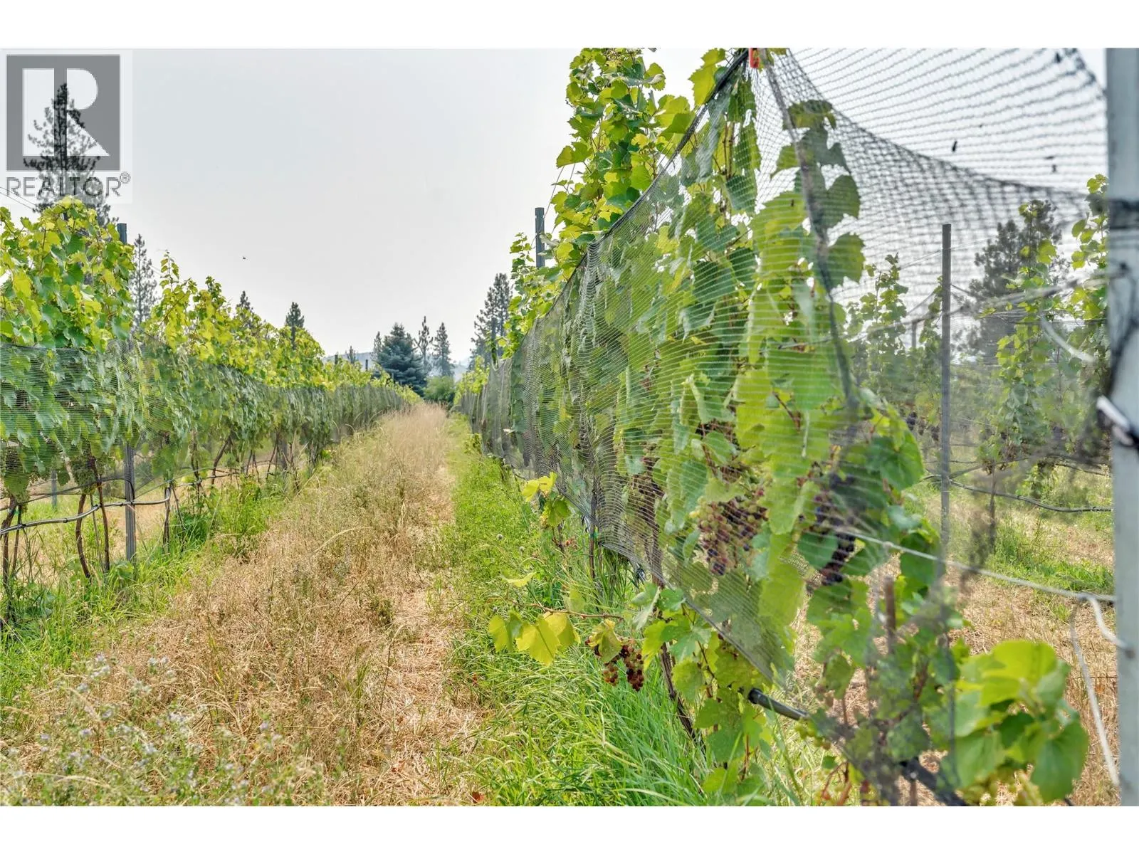 4112 McLean Creek Road