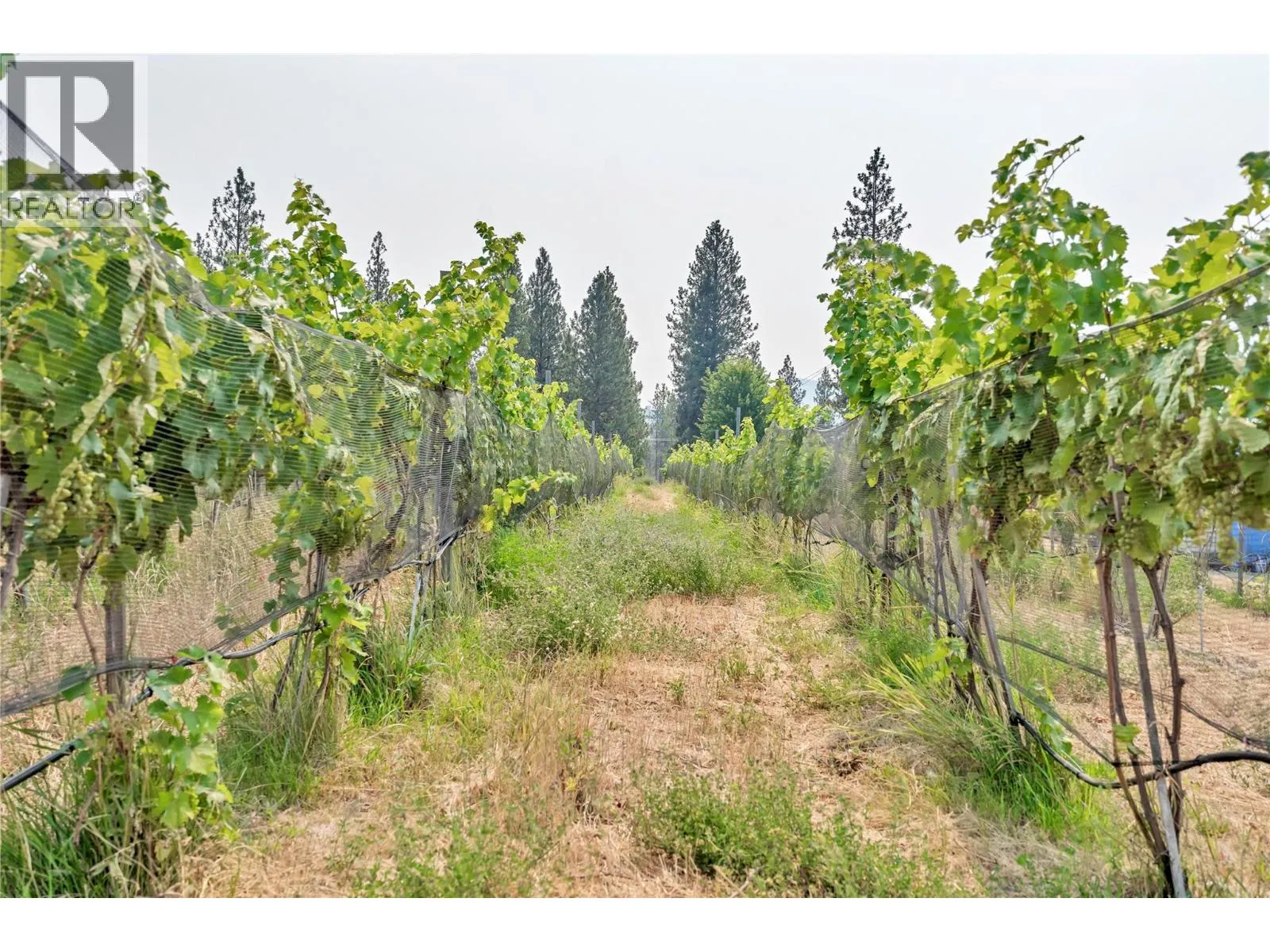 4112 McLean Creek Road