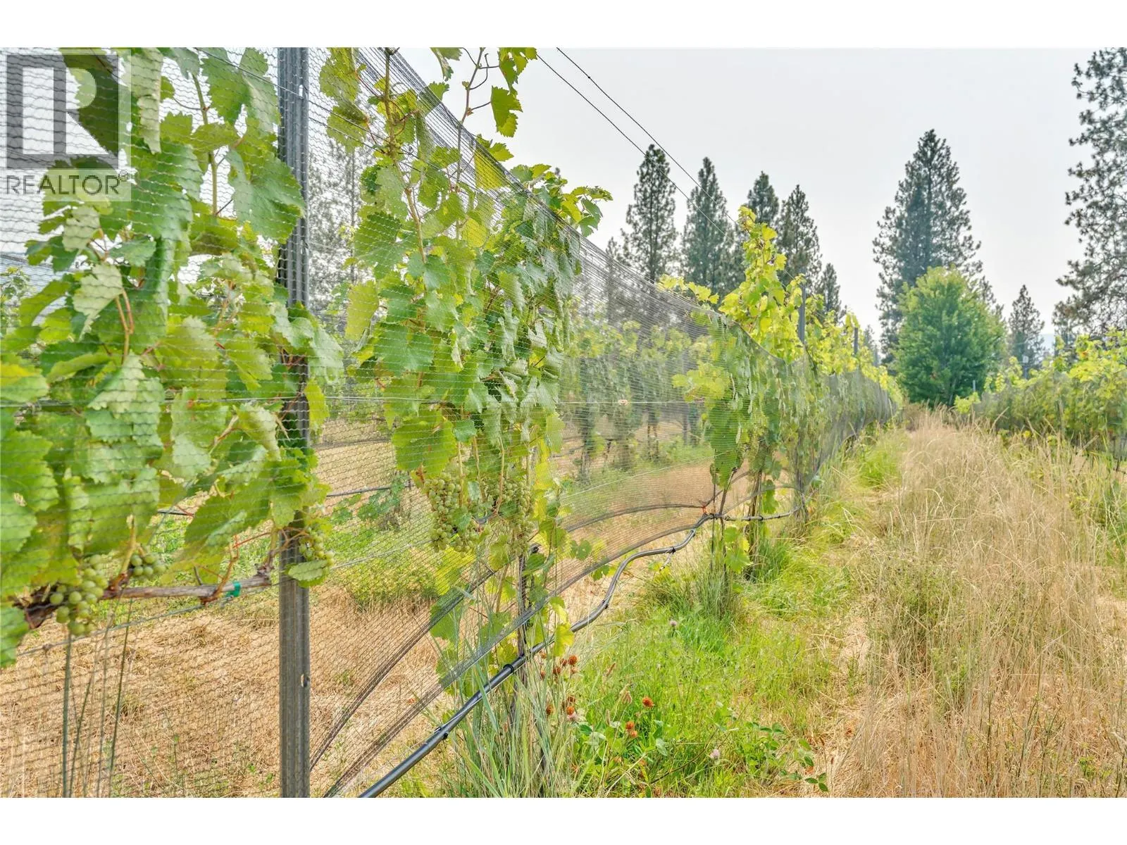 4112 McLean Creek Road