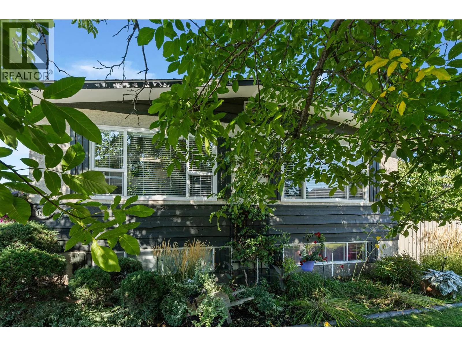 1240 Collison Road