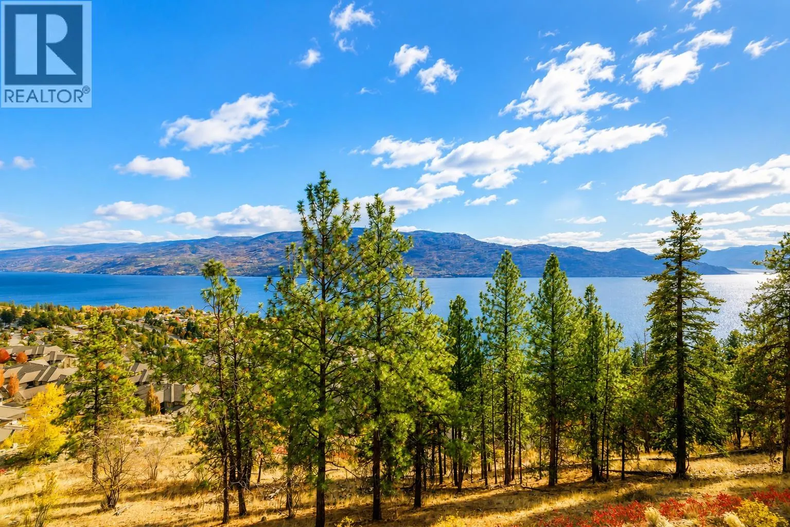 4450 Ponderosa Drive Unit# 204