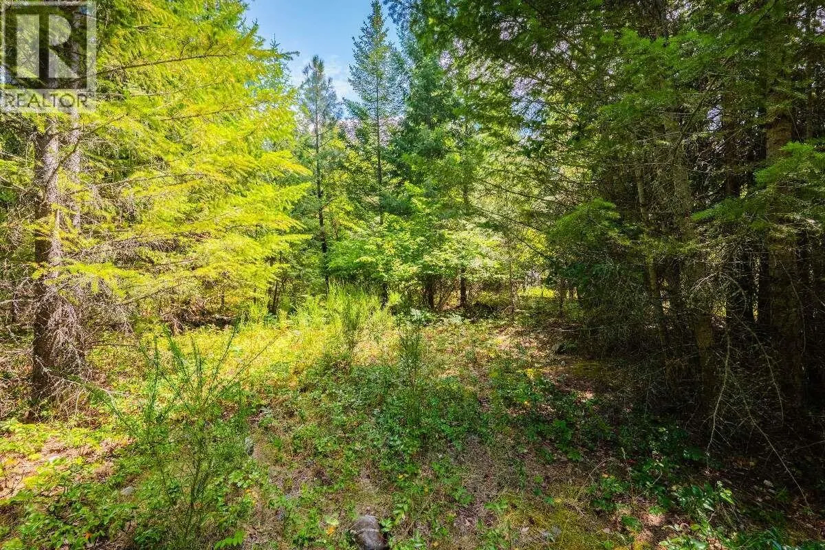 2842 Six Mile Lakes Road Lot# Lot 2