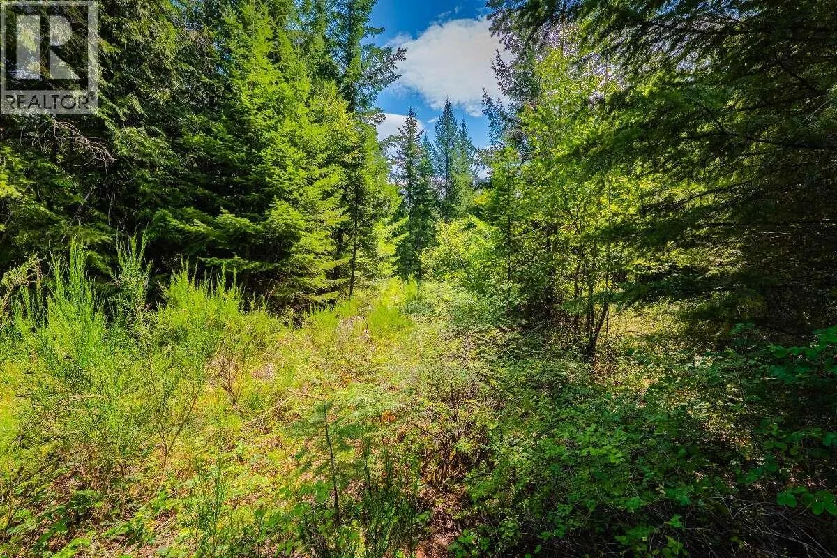 2842 Six Mile Lakes Road Lot# Lot 2