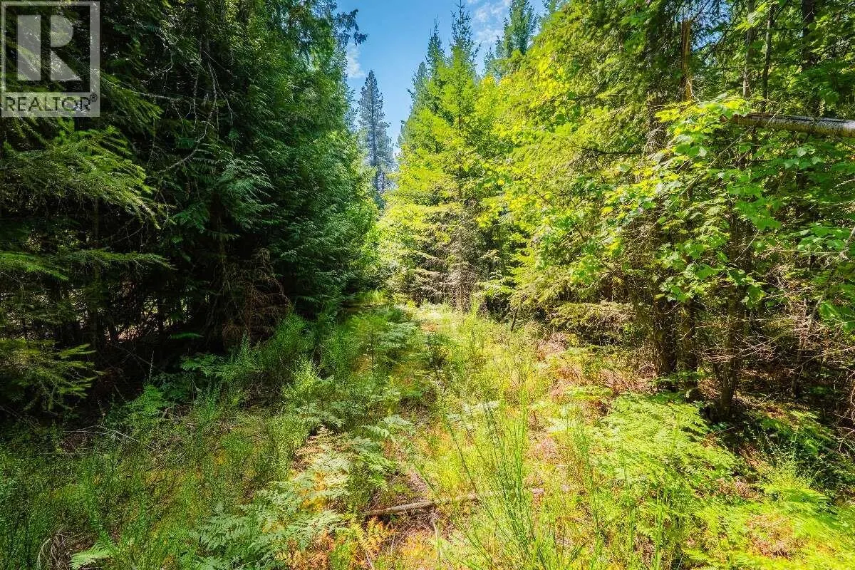 2842 Six Mile Lakes Road Lot# Lot 2
