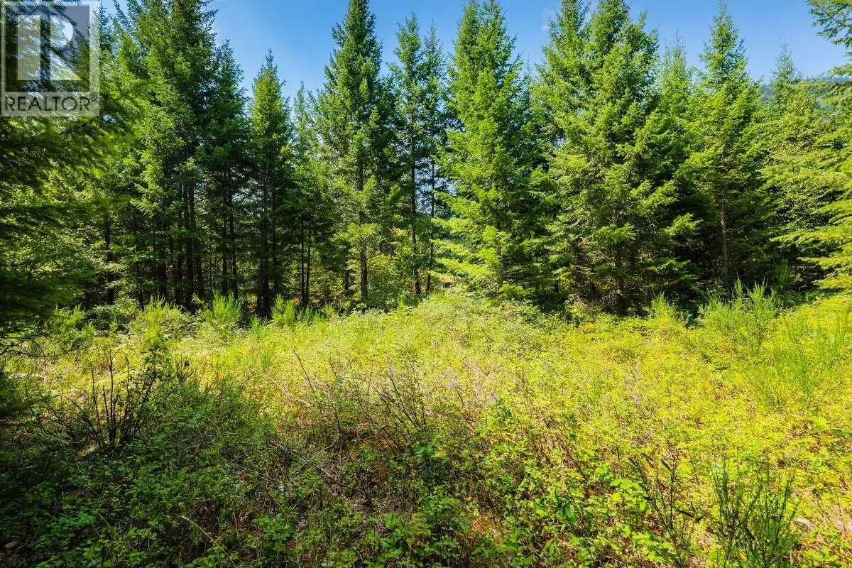 2842 Six Mile Lakes Road Lot# Lot 2