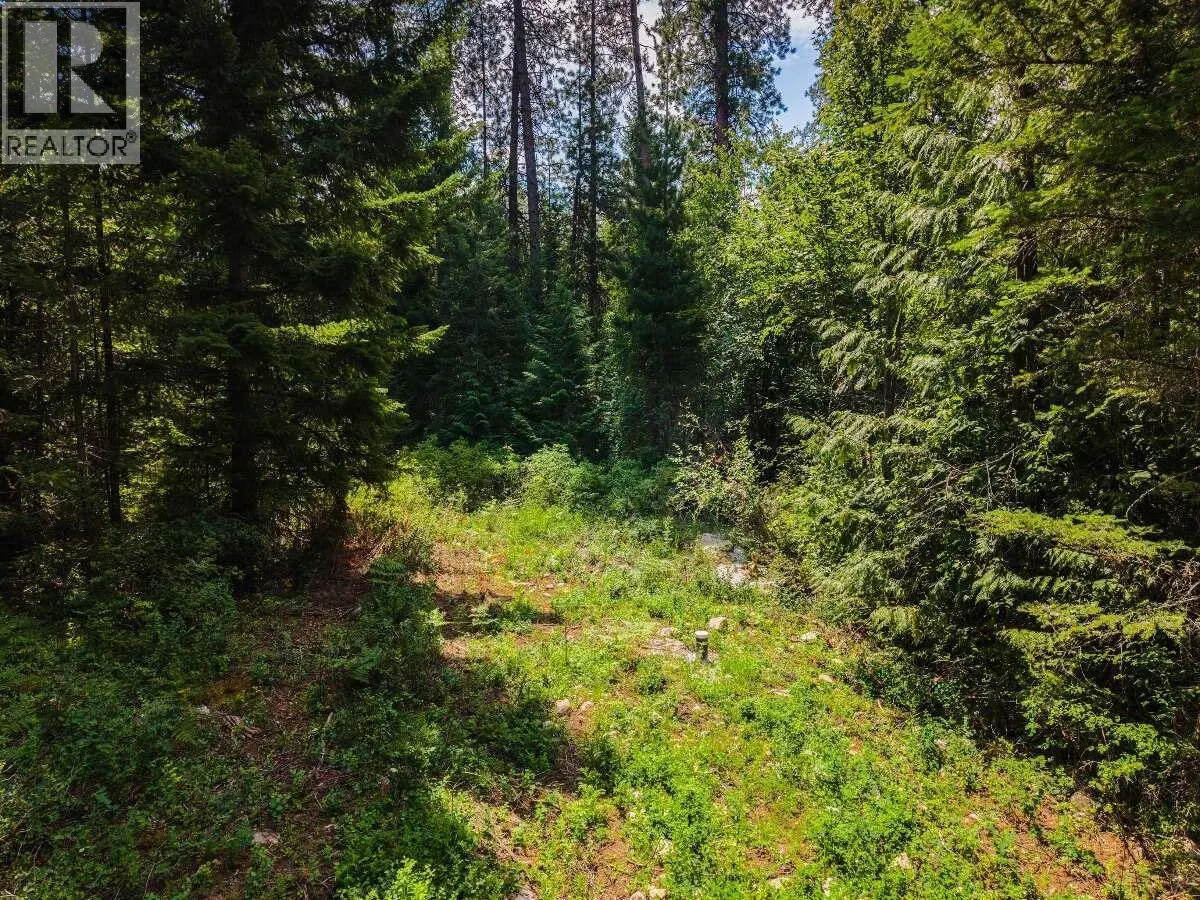 2842 Six Mile Lakes Road Lot# Lot 2