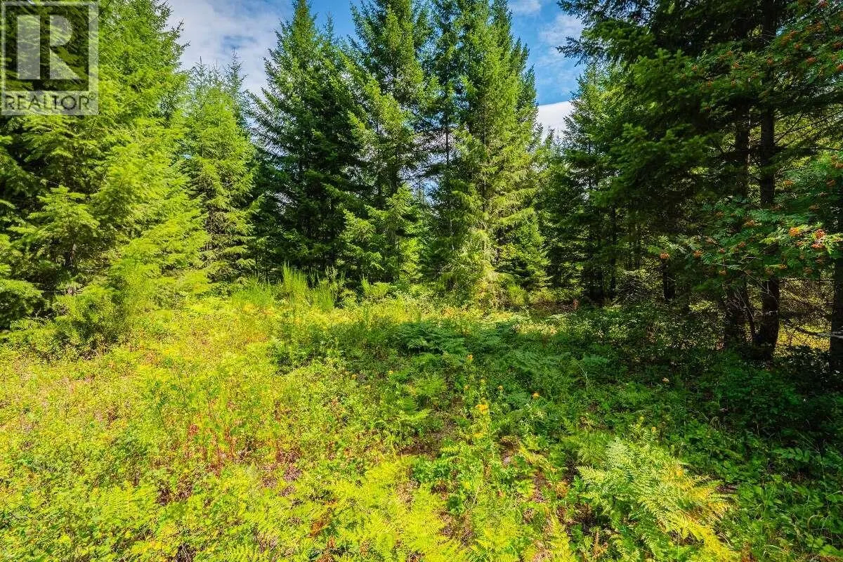 2842 Six Mile Lakes Road Lot# Lot 2