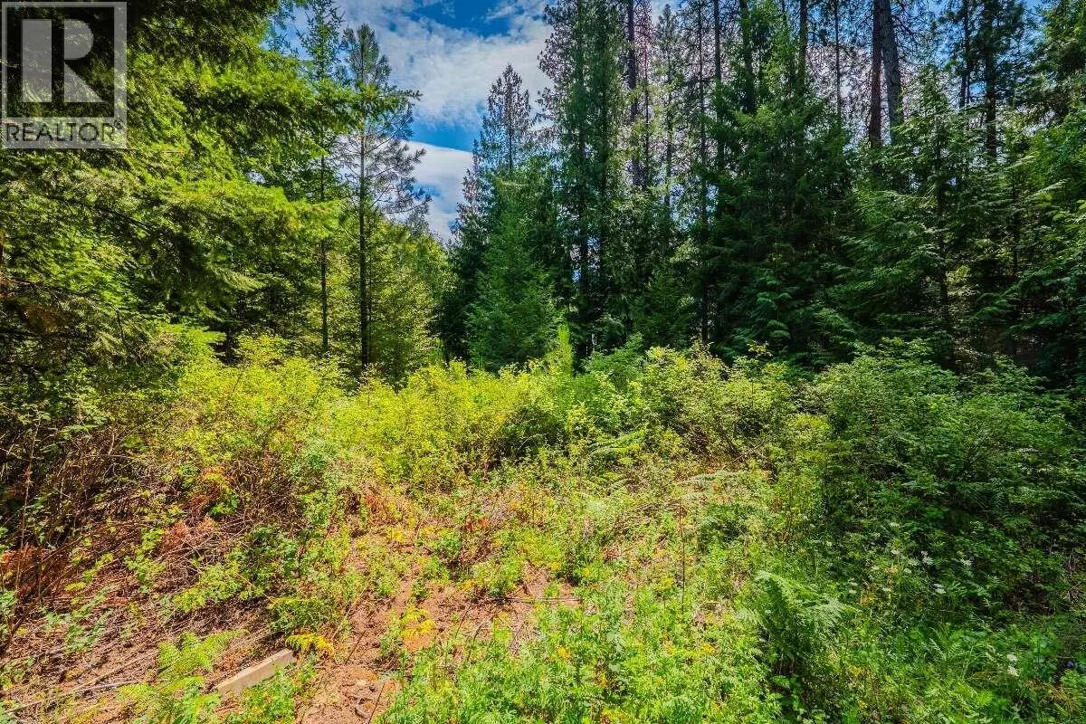 2842 Six Mile Lakes Road Lot# Lot 2
