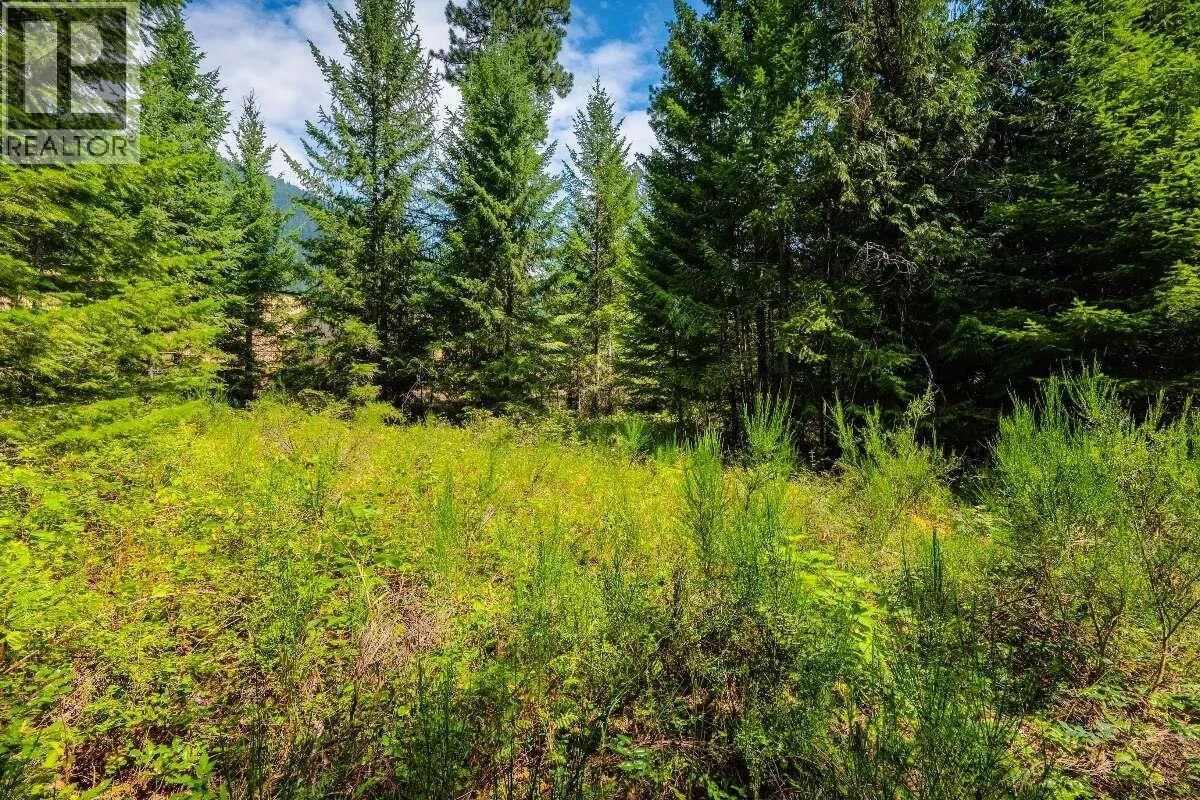 2842 Six Mile Lakes Road Lot# Lot 2