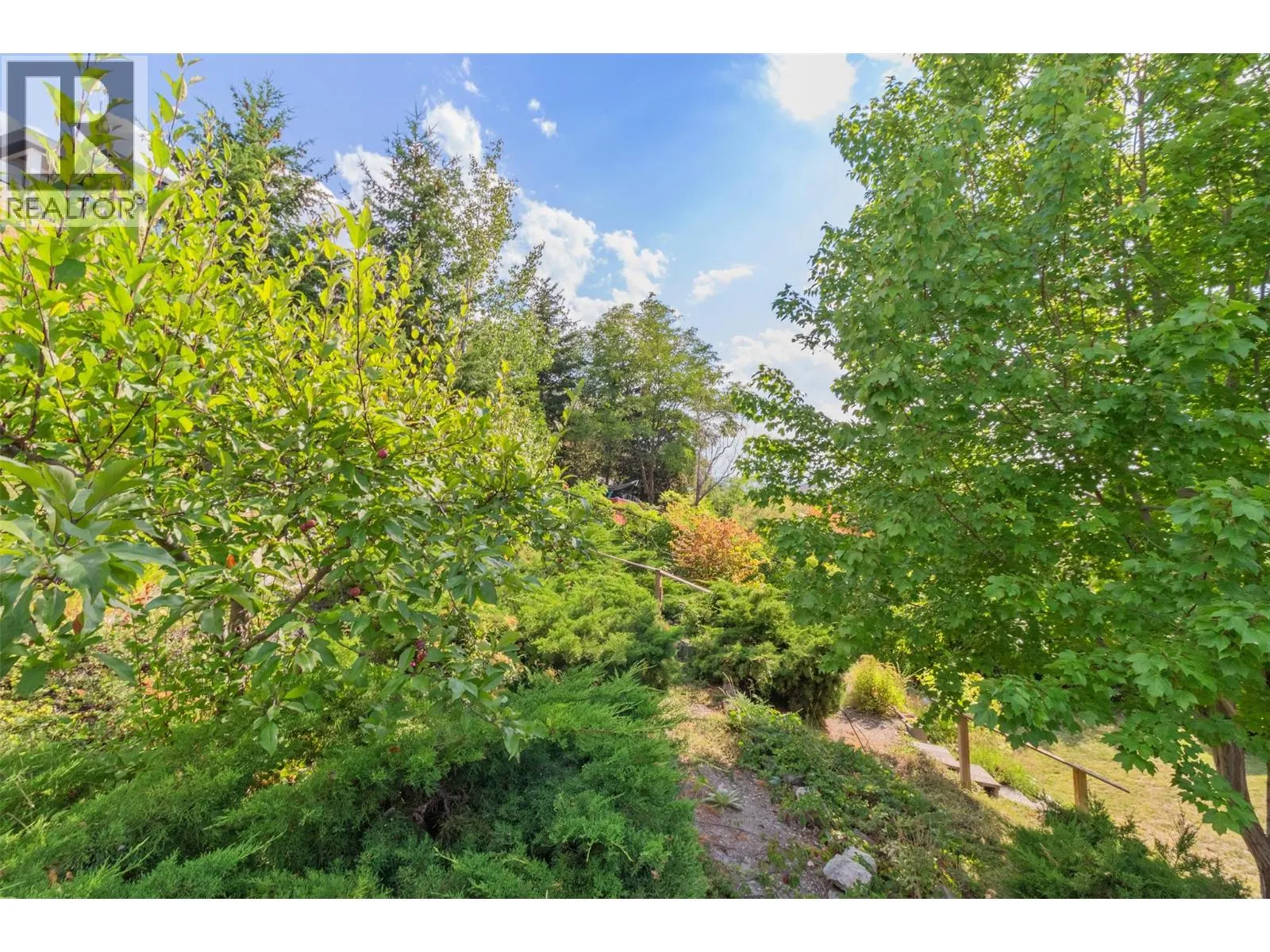 843 Lone Pine Drive