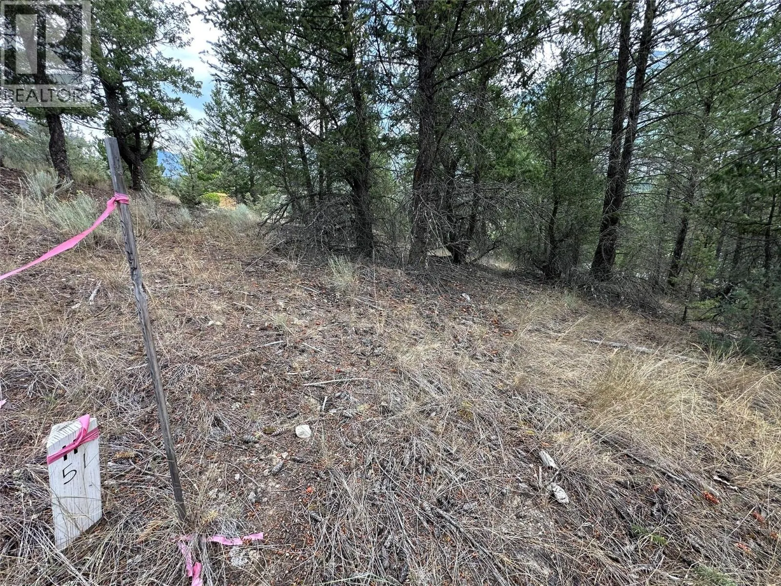 Lot 51 COOPER Road