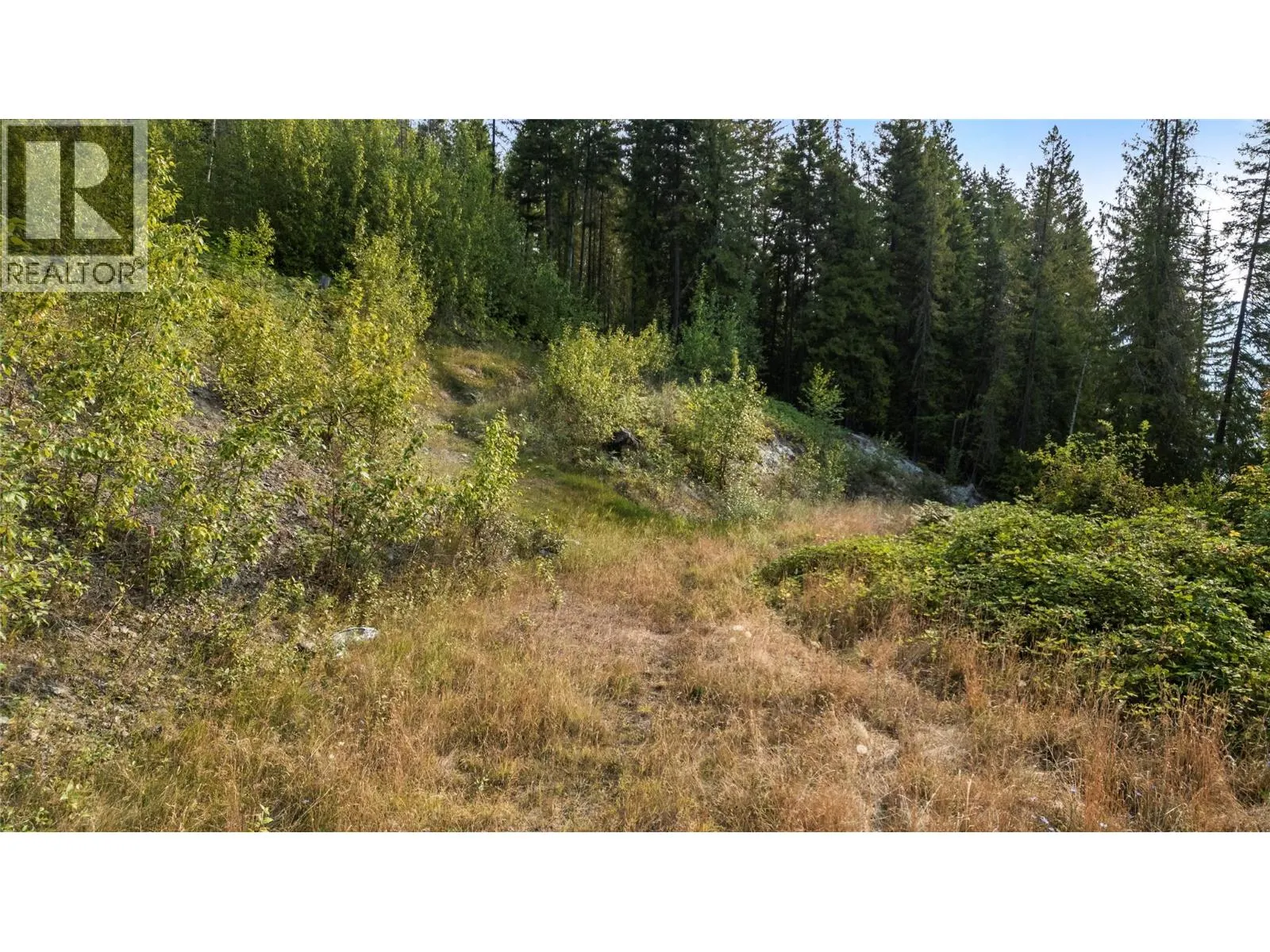 8021 Squilax-Anglemont Road