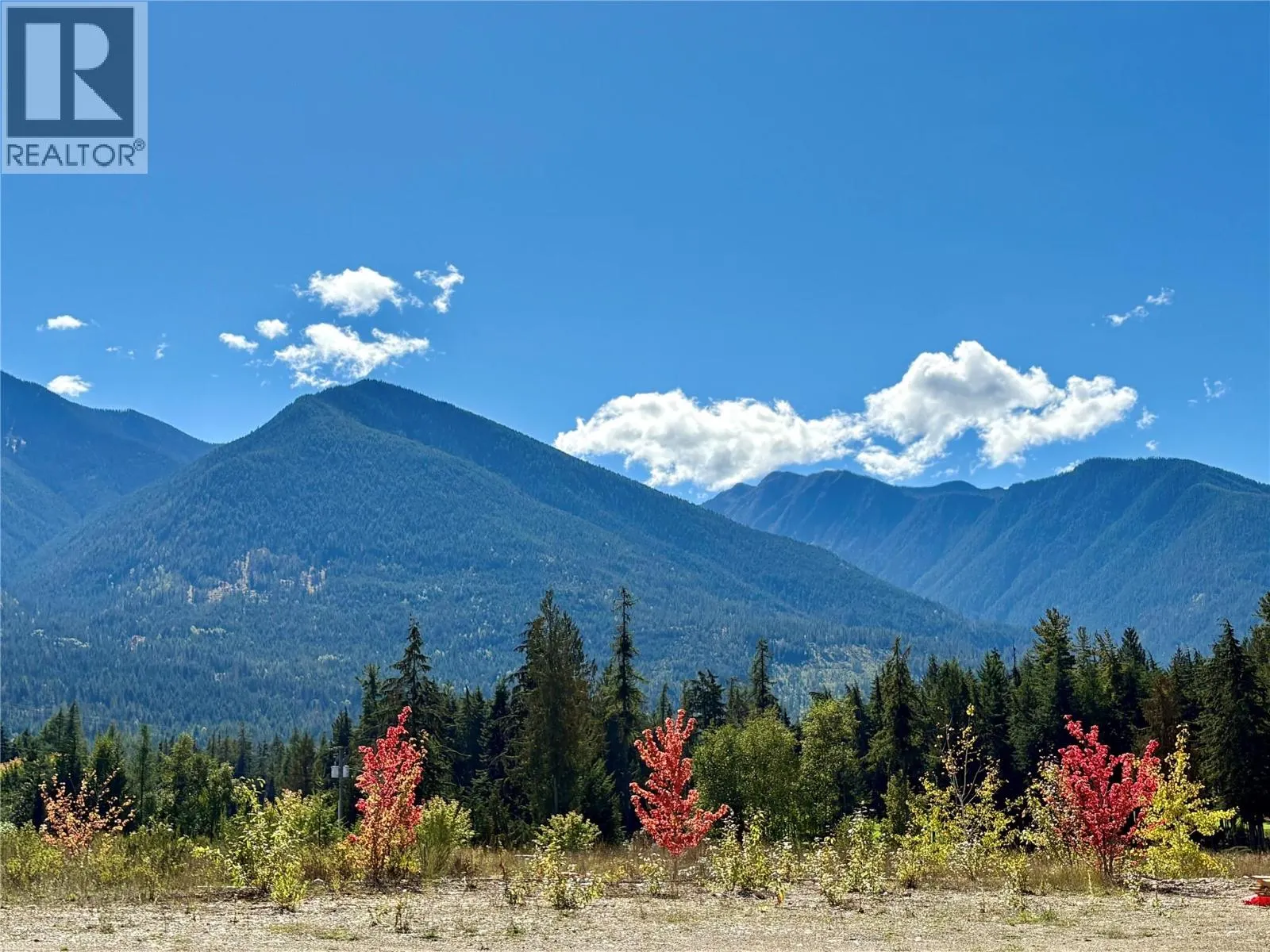 205 edward Street Lot# 41