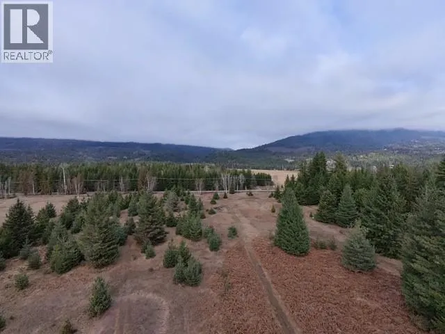 Squilax-Anglemont Road Lot# 1