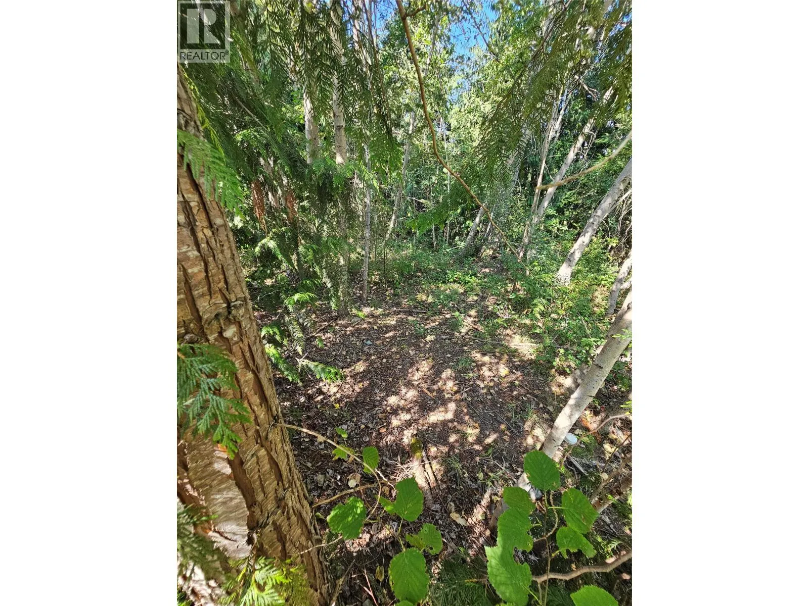 Lot 57 Ridgeview Place Lot# 57