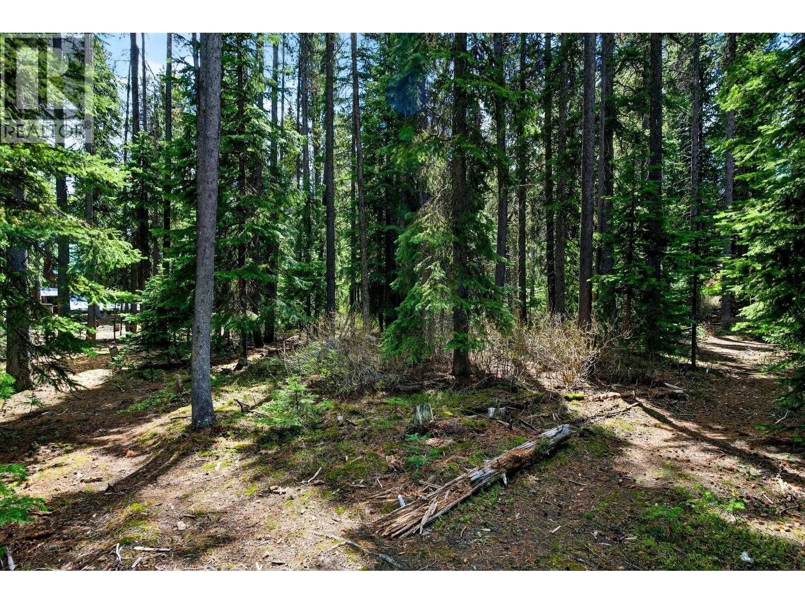 103 Whitetail Road Unit# 102