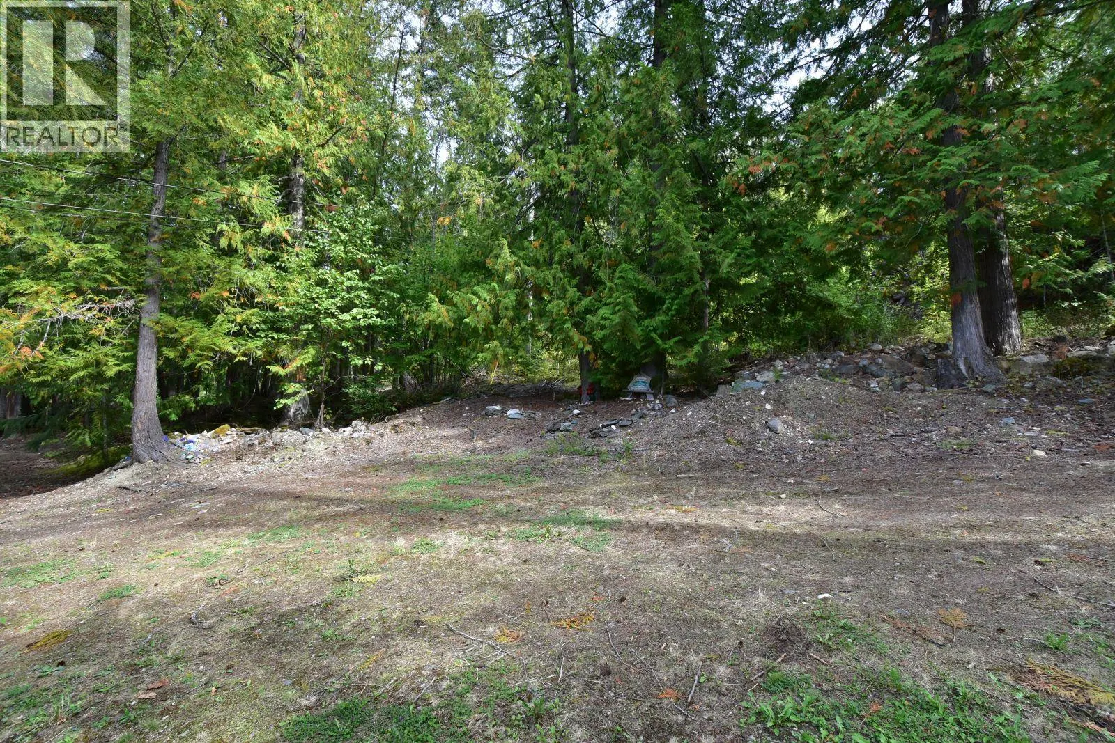 4141 Reid Road