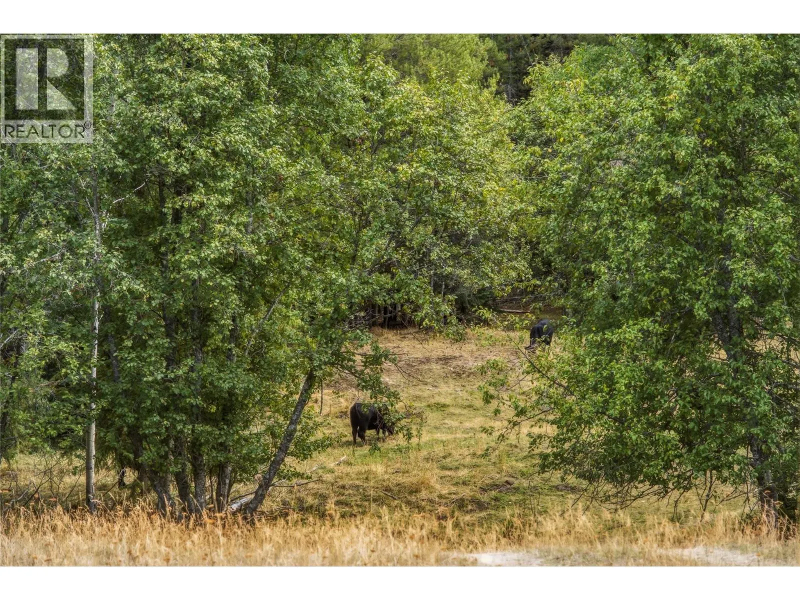 6860 Martin Prairie Road Lot# 1/4 SE