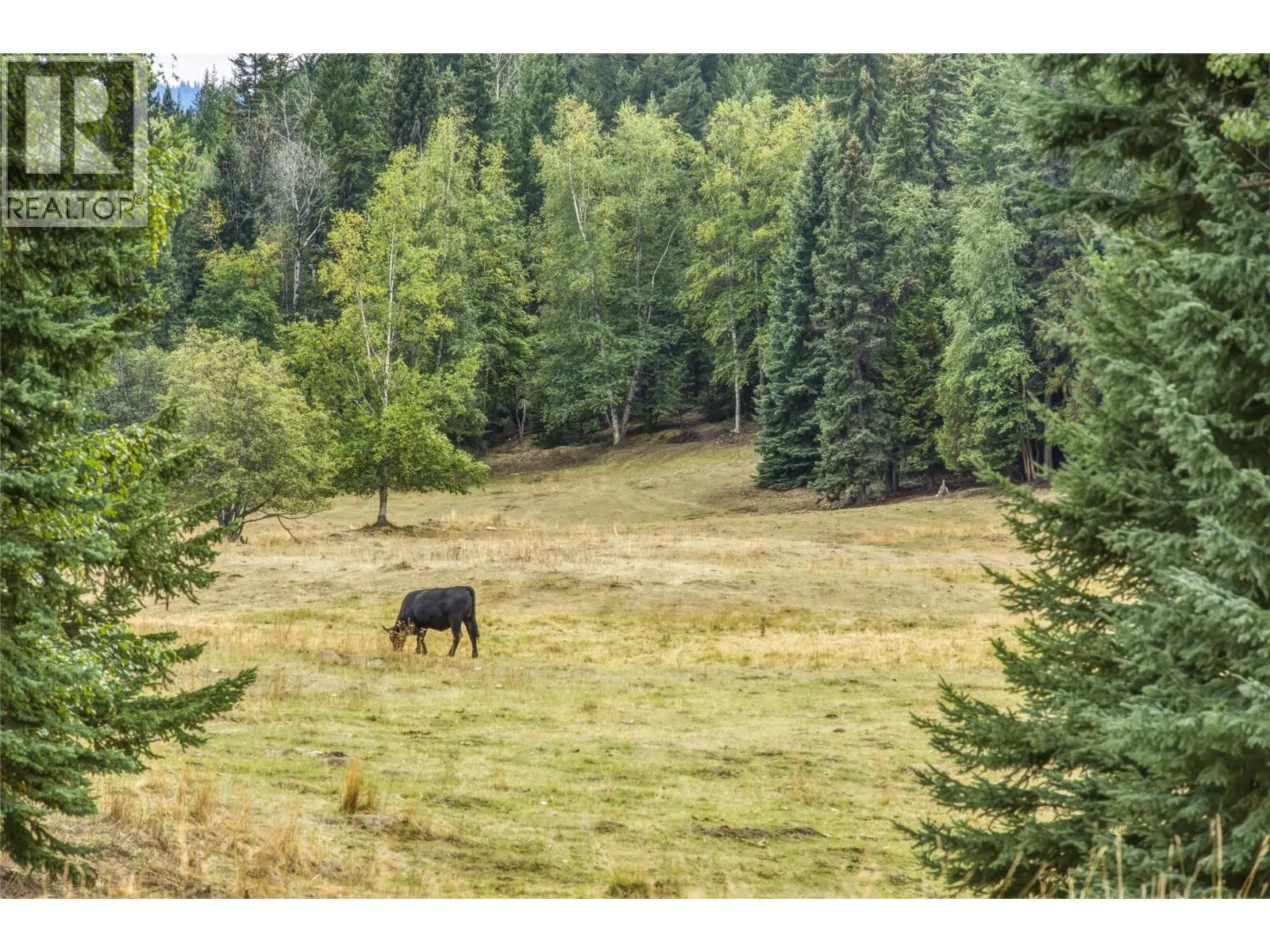 6860 Martin Prairie Road Lot# 1/4 SE