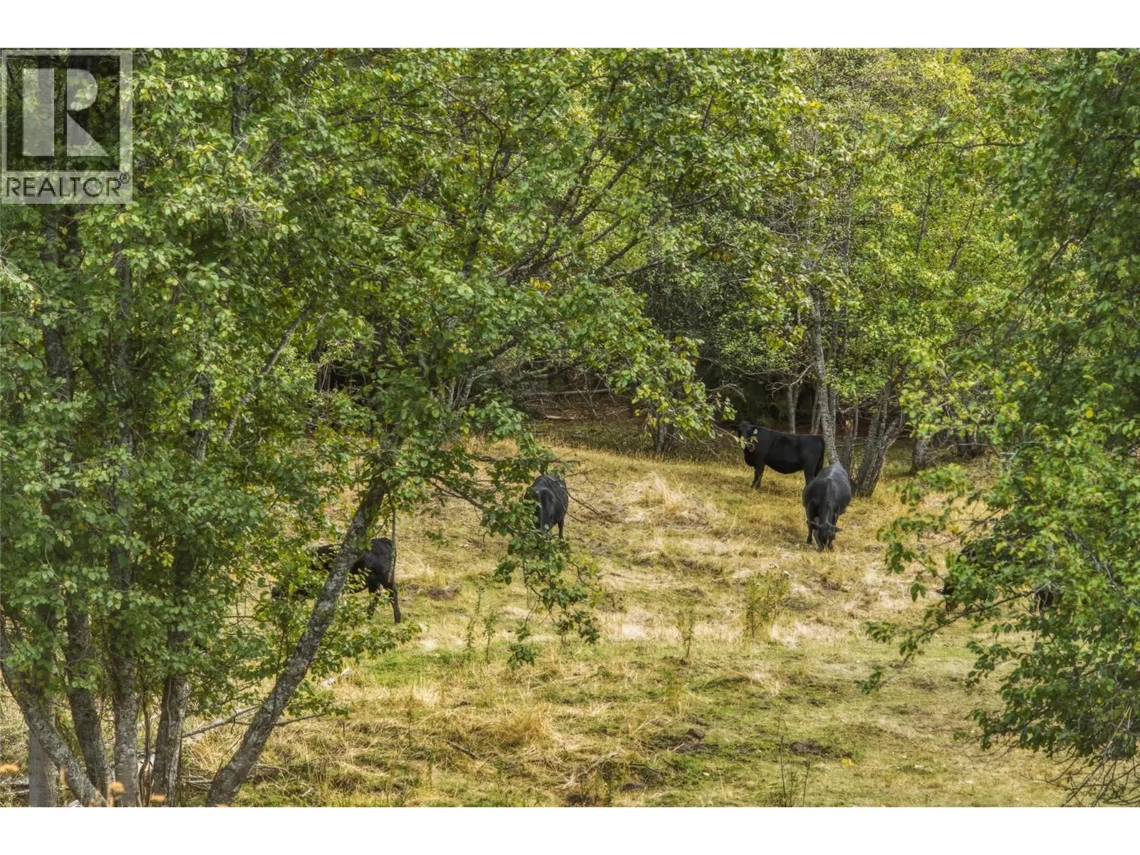 6860 Martin Prairie Road Lot# 1/4 SE