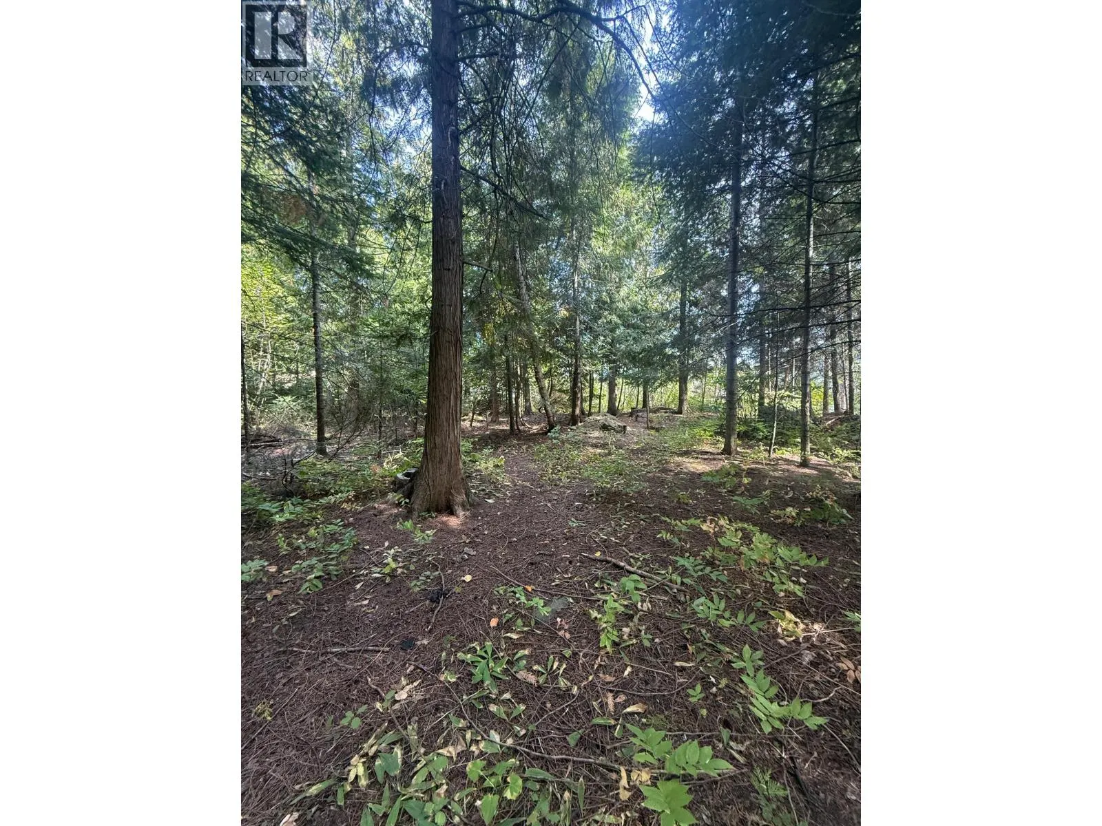 Dogwood Drive Lot# B