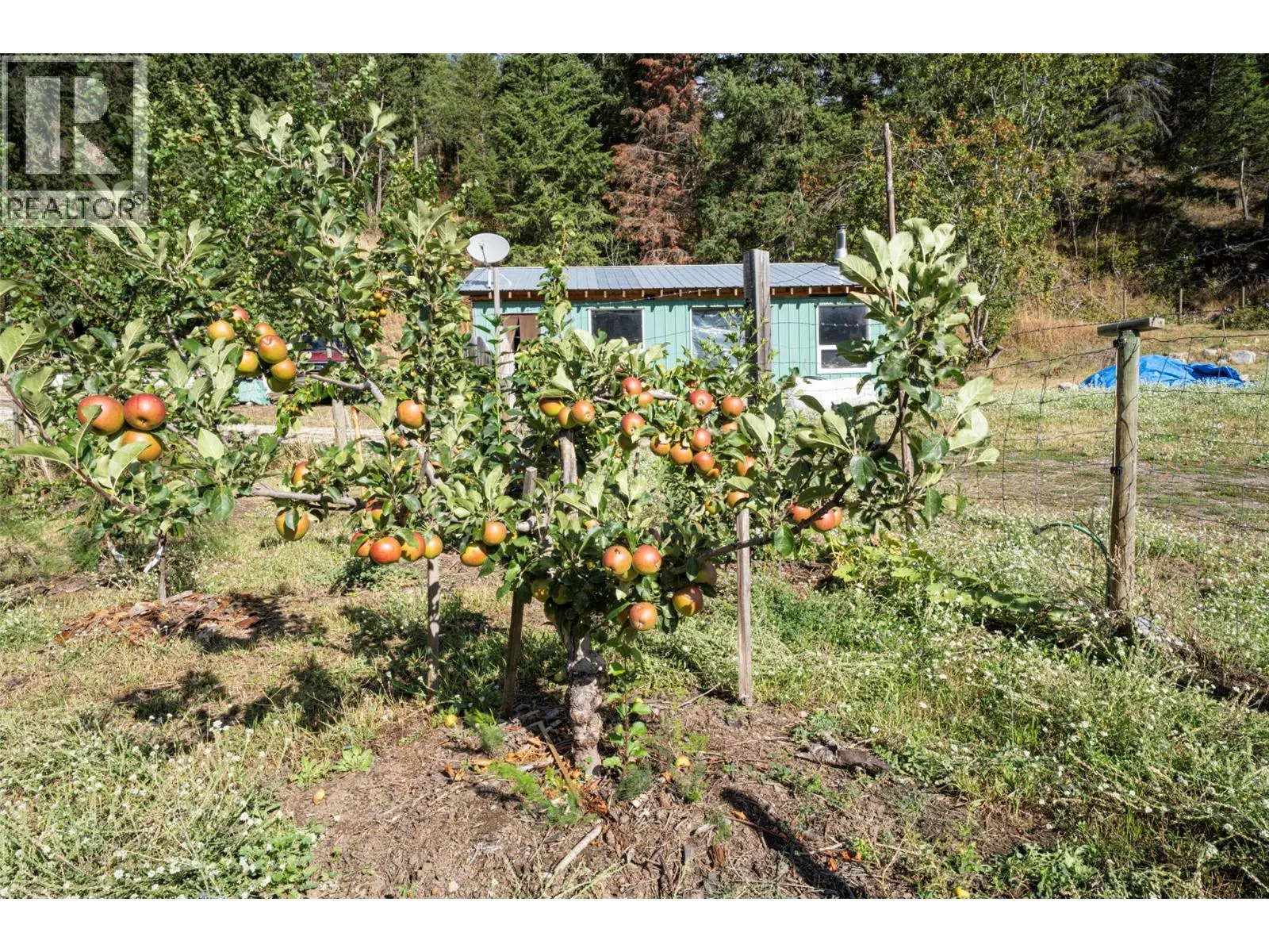 1021 Creighton Valley Road