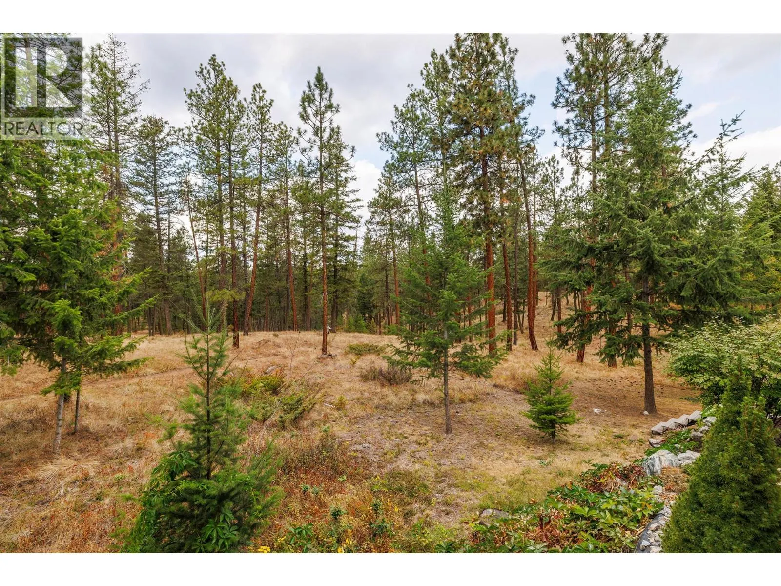 4170 Gallaghers Forest South