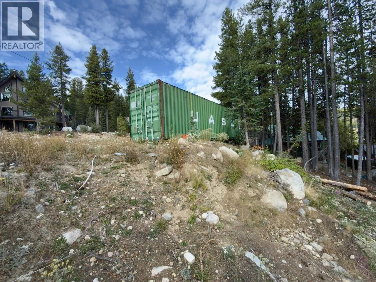 300 COUGAR Road