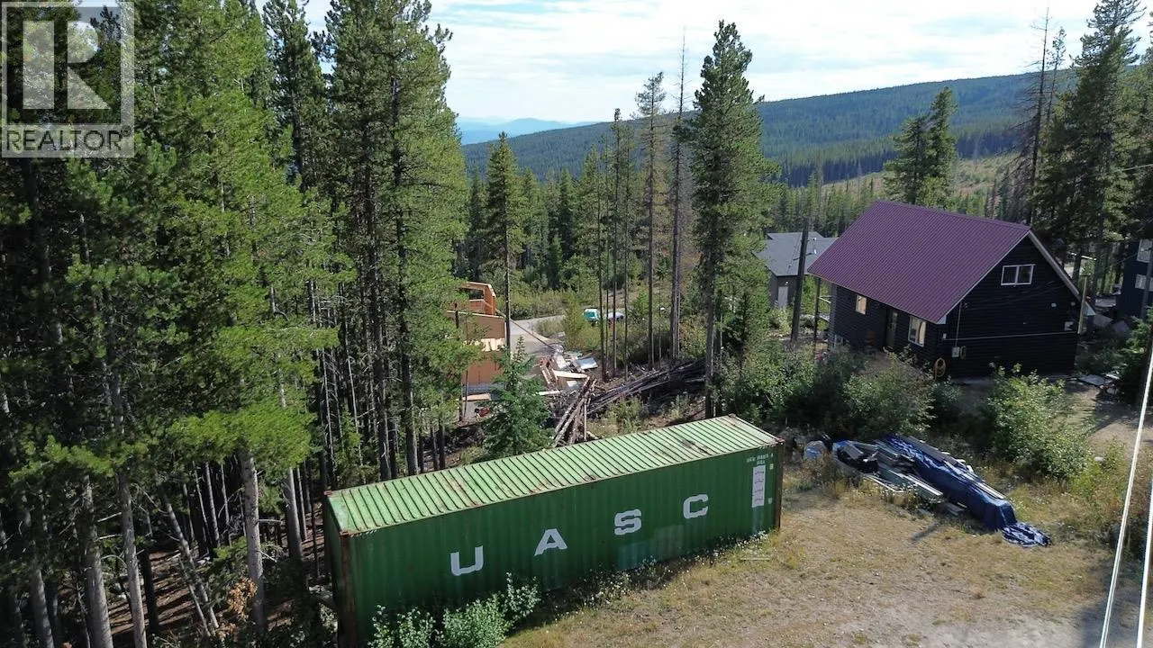 300 COUGAR Road