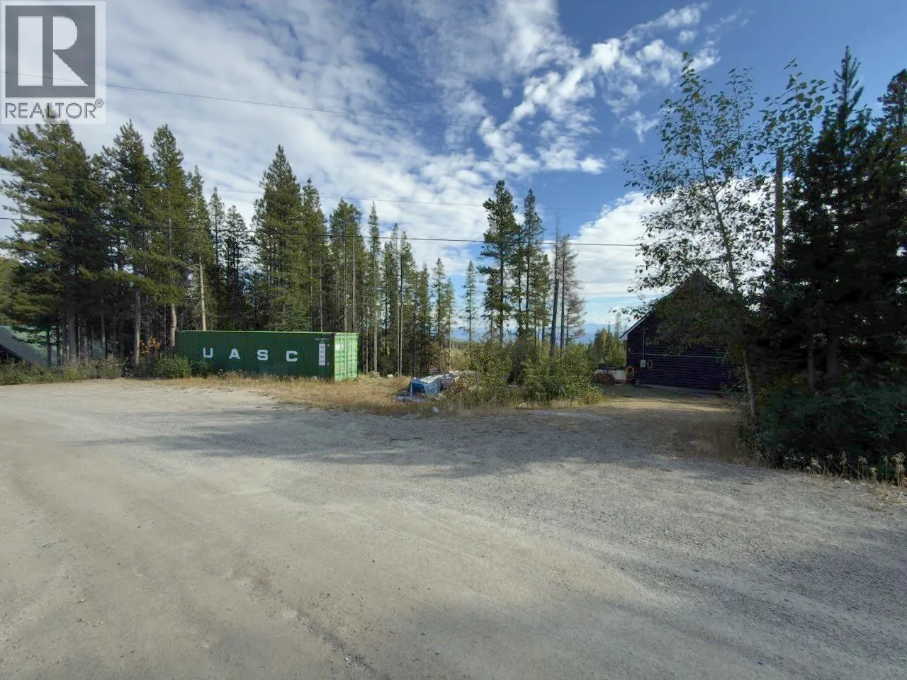 300 COUGAR Road