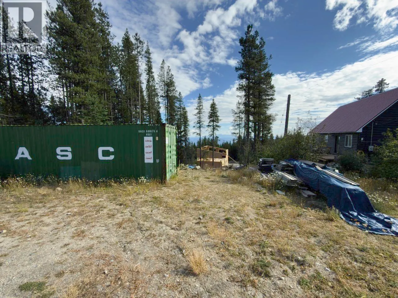 300 COUGAR Road