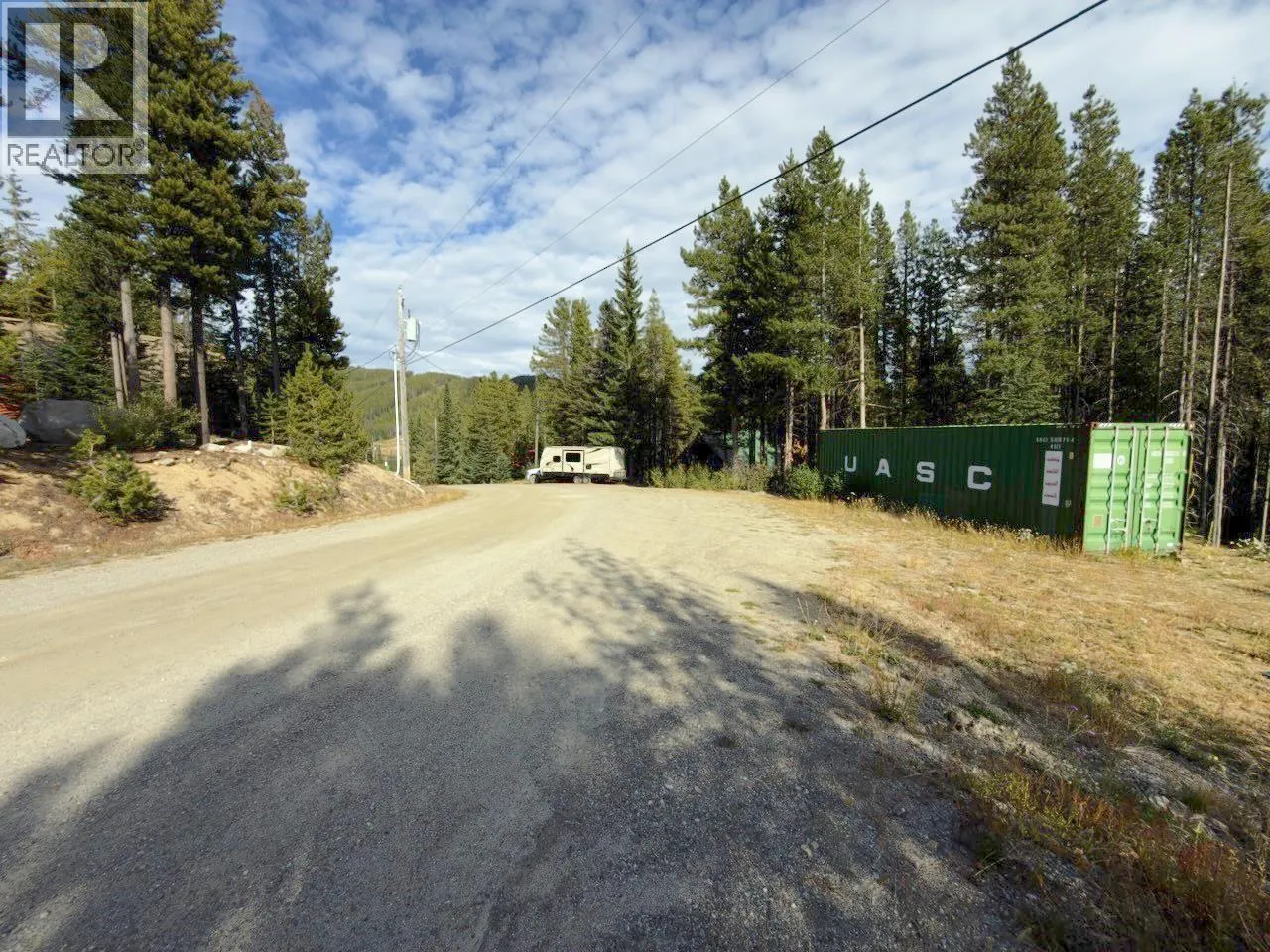 300 COUGAR Road