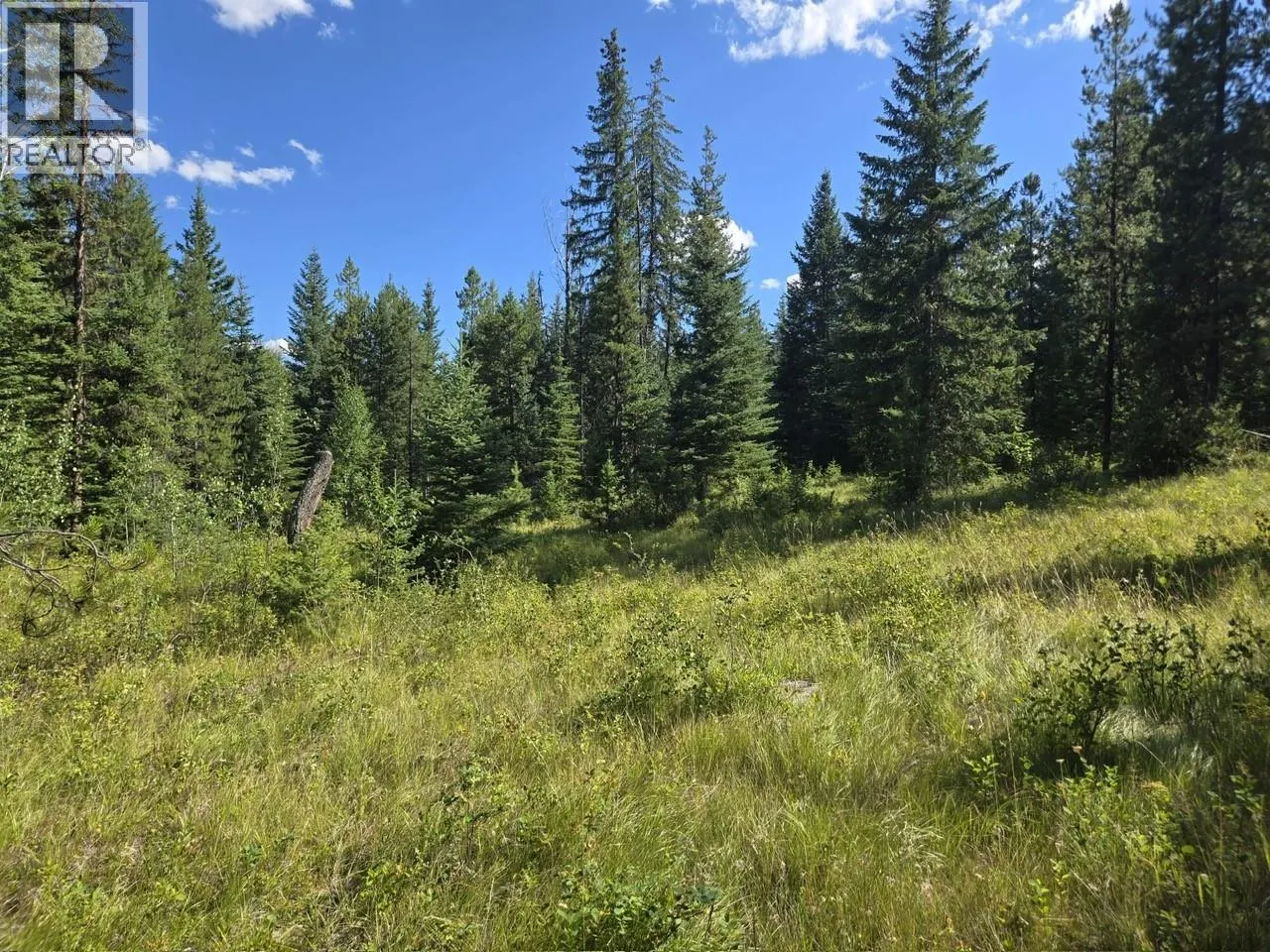 3680 Miller Lake FSR Forest