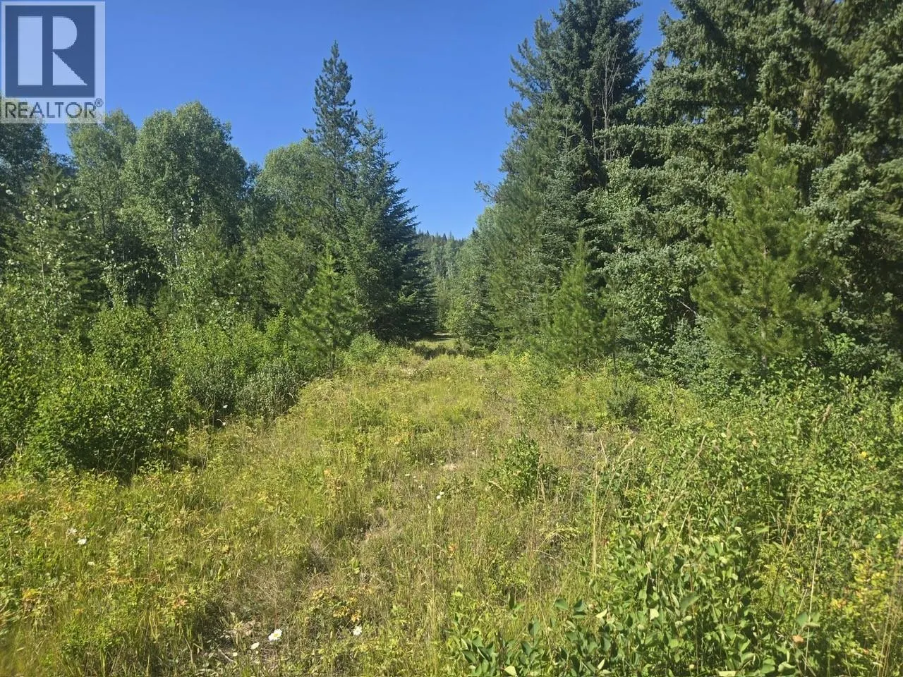 3680 Miller Lake FSR Forest
