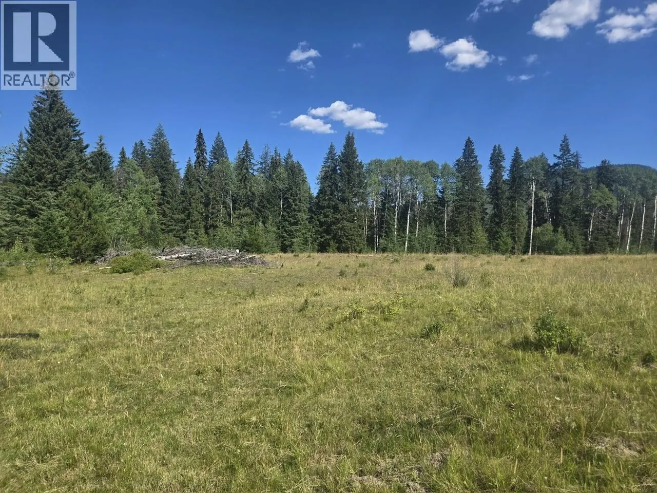 3680 Miller Lake FSR Forest