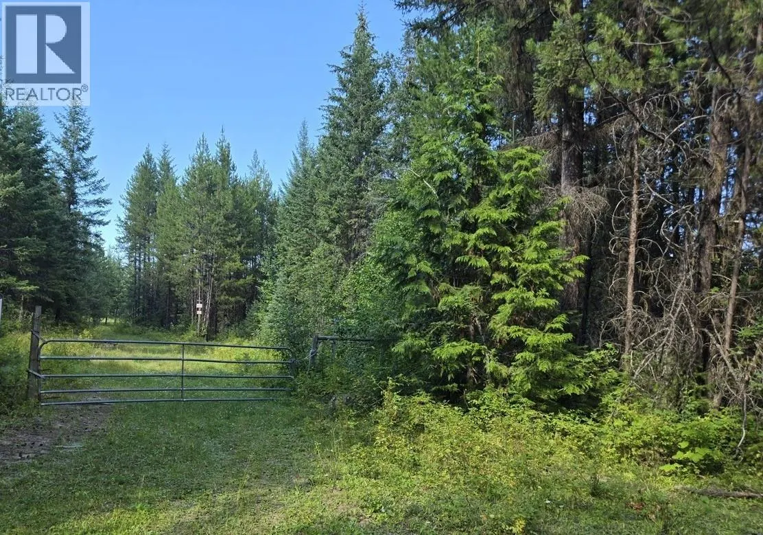 3680 Miller Lake FSR Forest