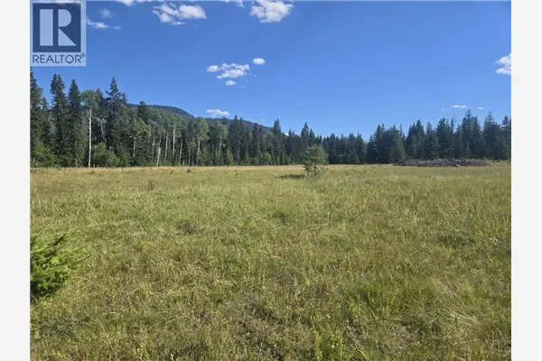 3680 Miller Lake FSR Forest