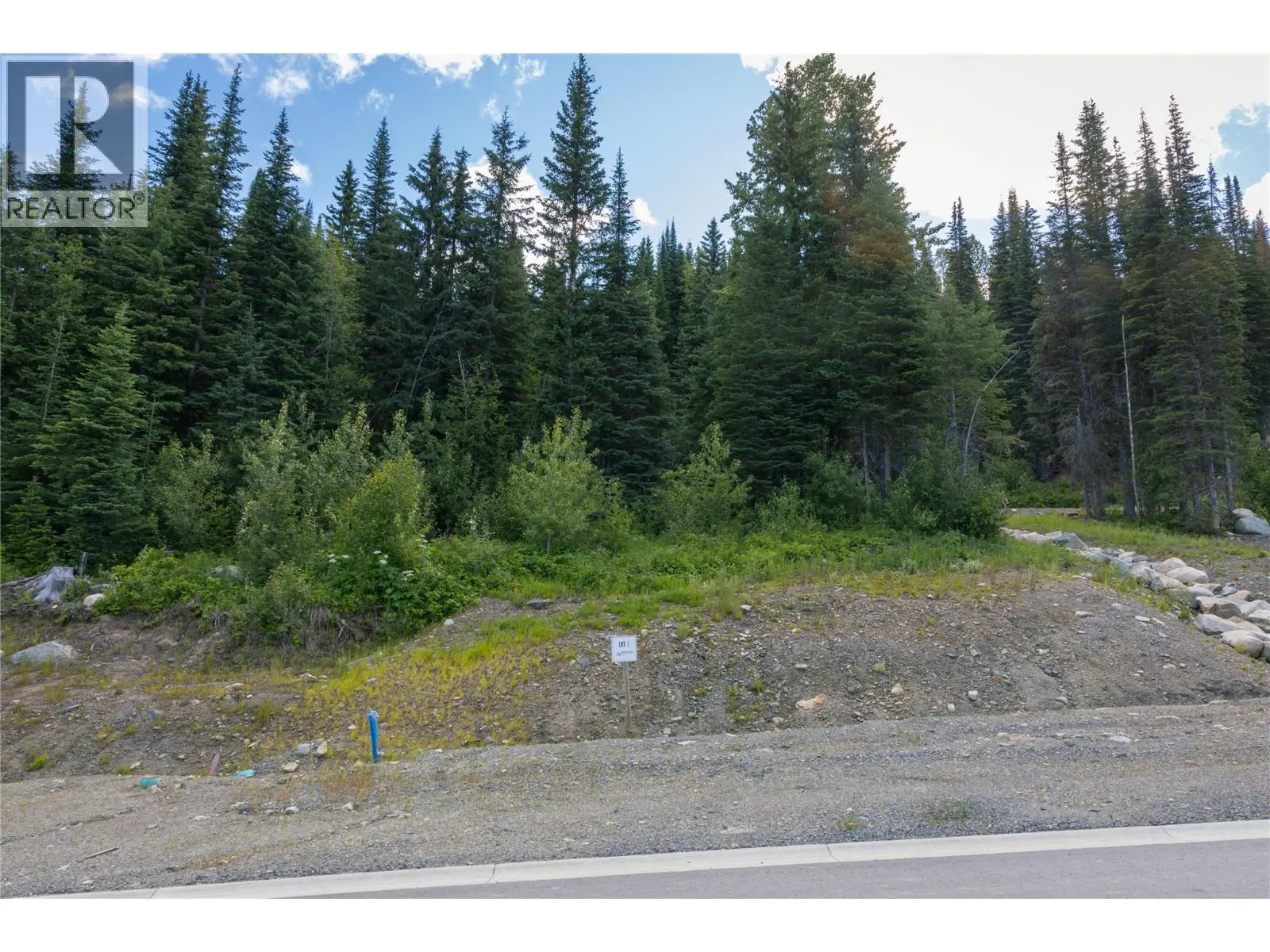 LOT 3 MCGILLIVRAY LAKE Drive
