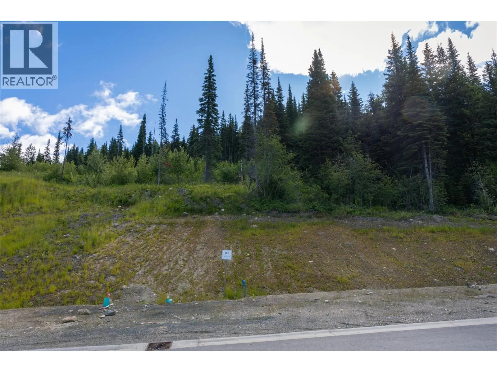 LOT 1 MCGILLIVRAY LAKE Drive